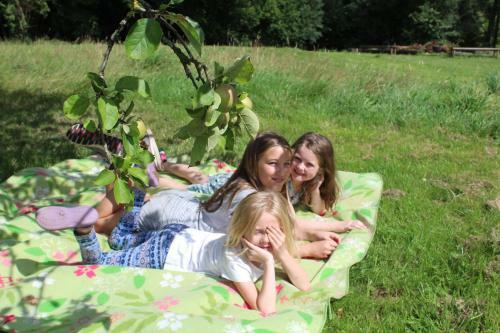 Bed & Breakfast La Jeusseliniere