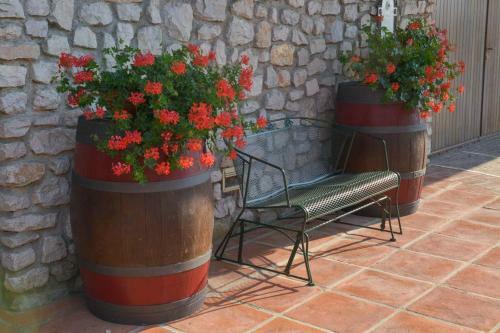 Agroturismo Agriturismo Kogoj