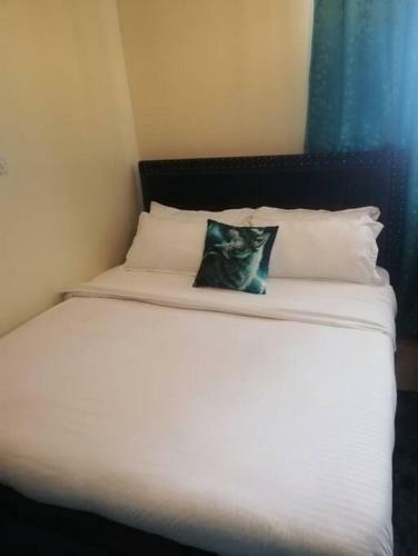 Elegant & Comfy Studio Apartment, Eastern Bypass - Ruiru