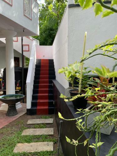 Sunhaven Villa & Apartment