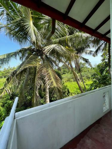 Sunhaven Villa & Apartment