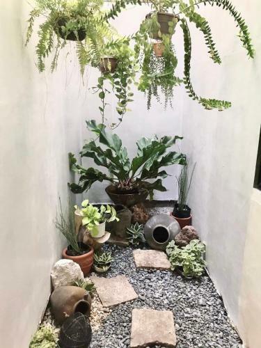 Albergue Nord House Laoag