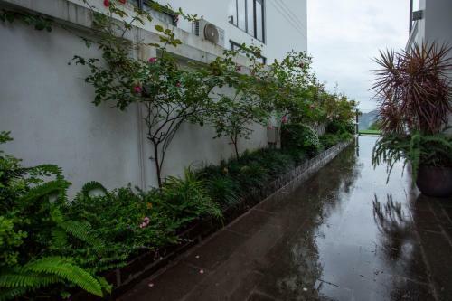 Hotel Q&e Villa