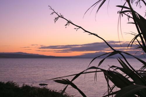 Moeroa - Wharewaka Holiday Home