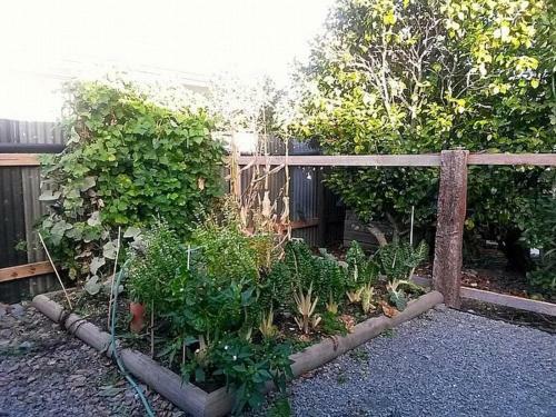 Ezy Walk - Blenheim Holiday Home