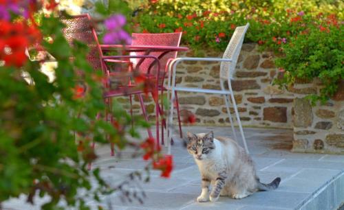 Hotel H�tel Auberge De La Motte Jean