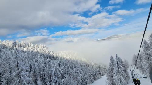 Almchalet Sunset- Carinthia / Flattnitz / 1650m
