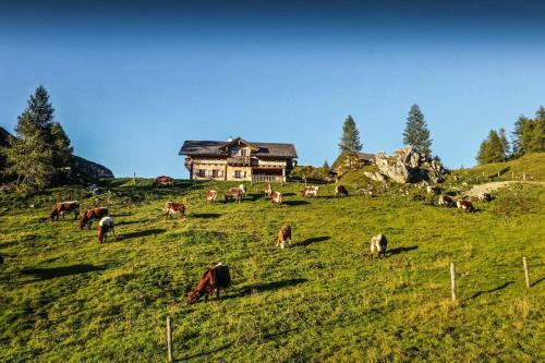 Agroturismo Pension Walchauhof