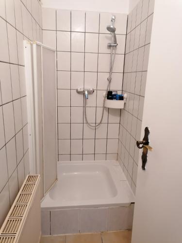 Cozy Apartment In Graz City (for Singles/couples)