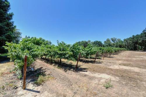 Provence Estate Nestled Along Lodi Wine Trails