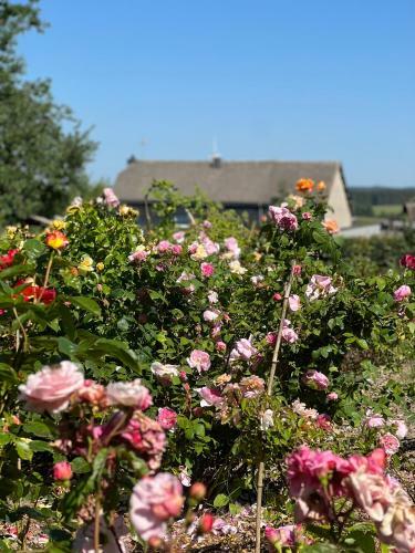 Hostal Maison D'h�tes Le Charme Du Champs Claire