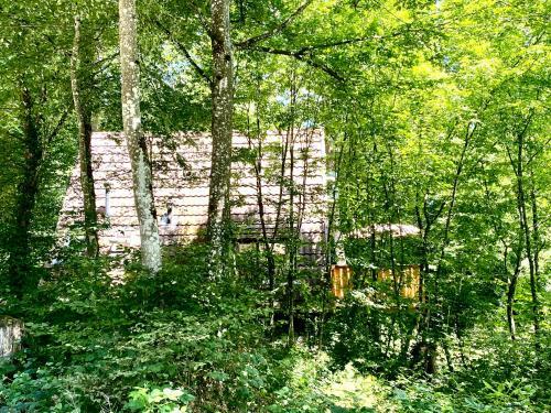 Lichtrijk A- Frame Huisje - Zon-bos-tuin-natuur