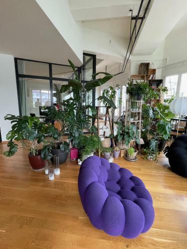 Apartamento Jungle Loft In Lausanne Centre
