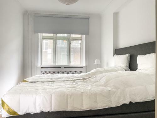 Stylish Classic Danish Design Apartment