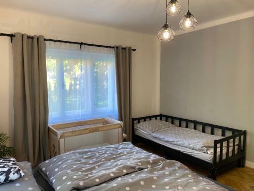 Panda Apartm�n Fr�d?tejn