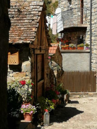 Apartamento Rural Paloma
