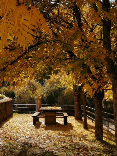 Apartamento Rural Paloma