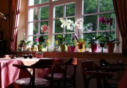 Rh�n Hotel Waldcaf� St. Georg