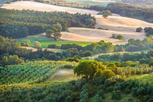 Bed & Breakfast Locanda Di Casalmustia