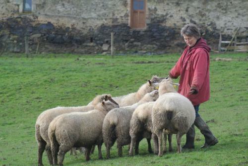 Bed & Breakfast La Gaucherie Aux Dames