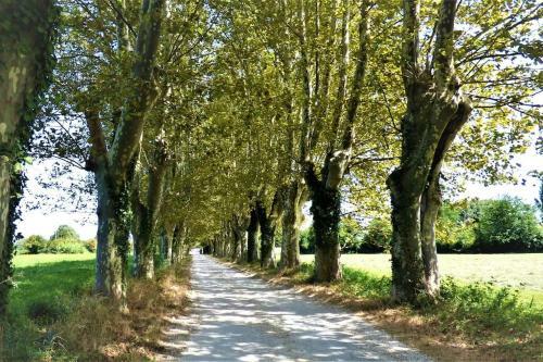 Apartamento Coquet Studio Au Pied Des Ar�nes, Wifi