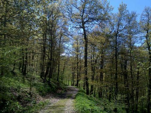Hotel Rural Pe�a Castil