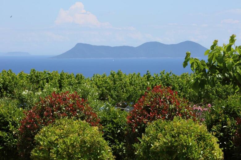 Pantheon & Danae Luxury Villas