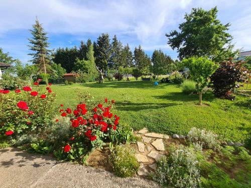 Apartman Bepo