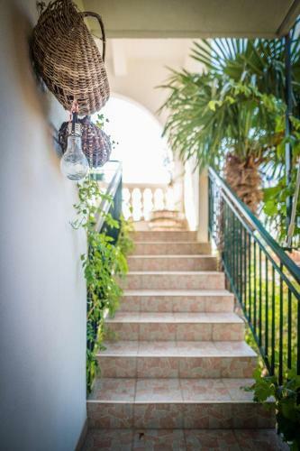 Apartmani Gradac