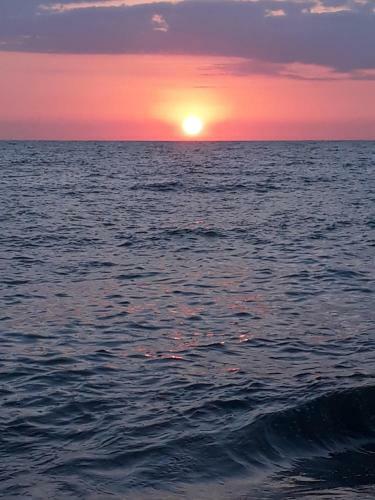 Apartament Edvard