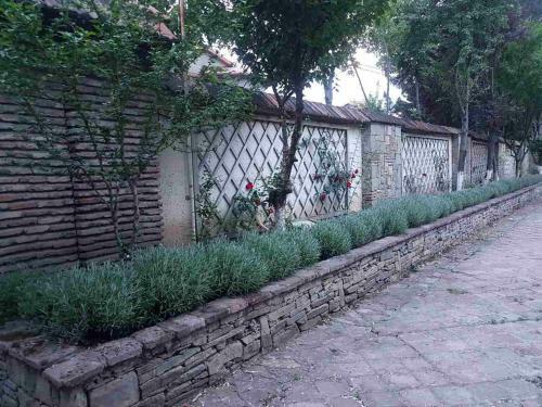 Villa Rare House With Garden