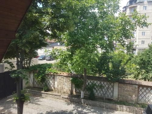 Villa Rare House With Garden