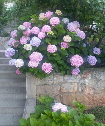 Apartment Jelsa,near Centar,parking,wifi,air Condition,barbecue