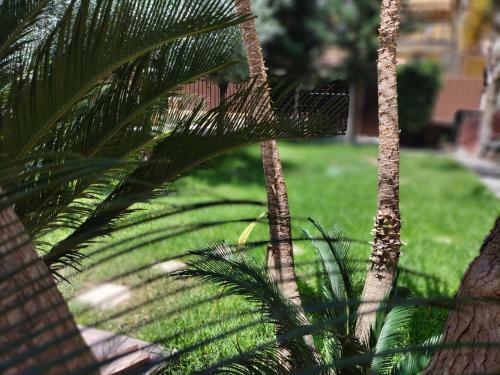 Villa Le Contine Home Holiday