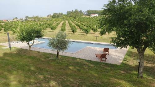 Villa Domus Nirale