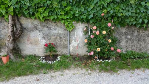 Apartamento Casa Del Verde