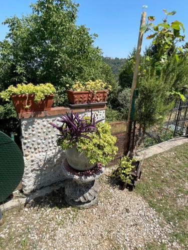 Apartamento Casa Del Verde