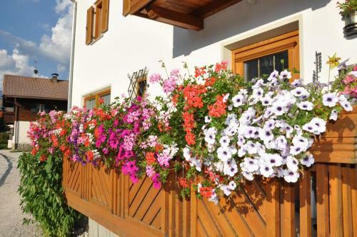 Apartamento Appartements Wiesenheim