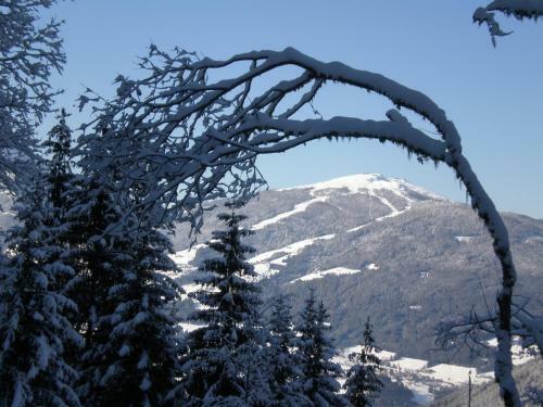 Bed & Breakfast Oberlechnerhof