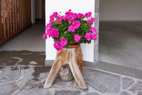 Bed & Breakfast Oberlechnerhof