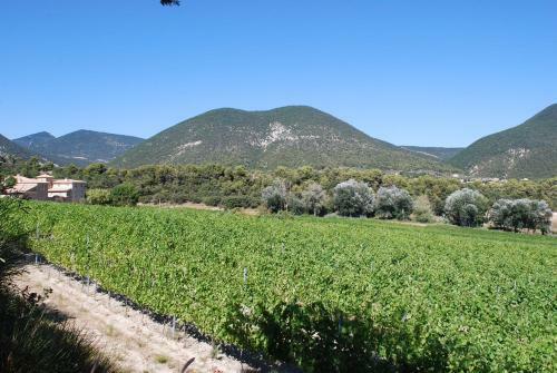 Bed & Breakfast Domaine De Provensol