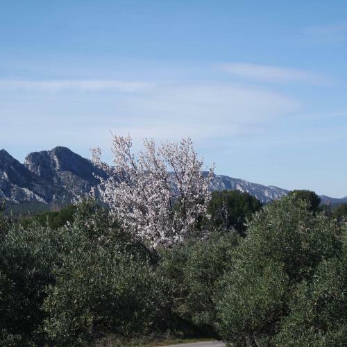 Bed & Breakfast Mas Grimaud - Chambres D'h�tes Familiales