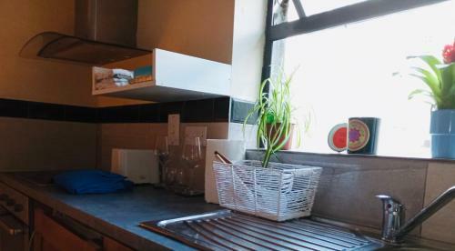 Apartamento Jacuzzi Jungle City Centre