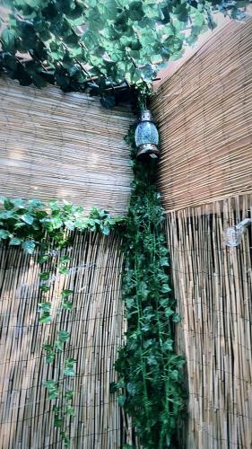 Apartamento Jacuzzi Jungle City Centre