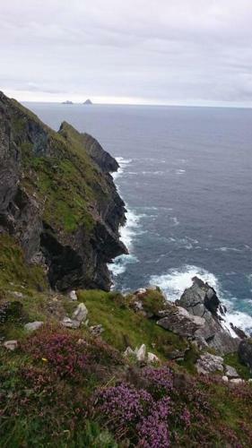 Apartamento Skellig View Bluebell Rose & The Kerry Cliffs