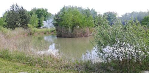 Villa Willa Chmiel Nad Jeziorem Tarnobrzeskim
