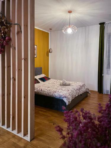 Przestronny Apartament W Centrum