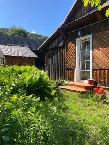 Villa Gospodarstwo Przy Drodze.