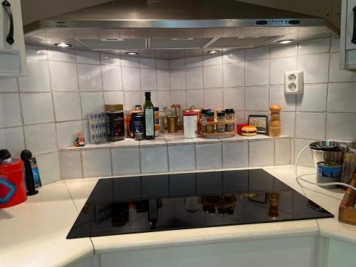 Holiday Home Grisslehamn XI