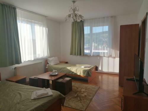 Hostal Pensiunea Cezara